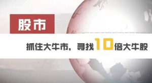 泽平宏观VIP会员 股市:抓住大牛市,寻找大牛股 共14个视频