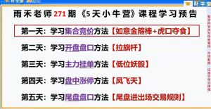 雨禾小牛特训营5天公开课